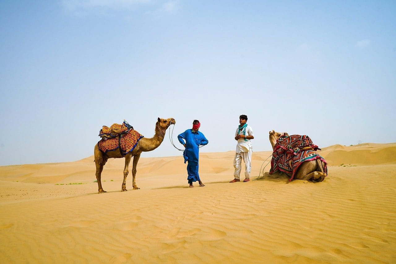 desert, nature, camel, travel, transport, sand, dunes, men, rajasthan, jaipur, india