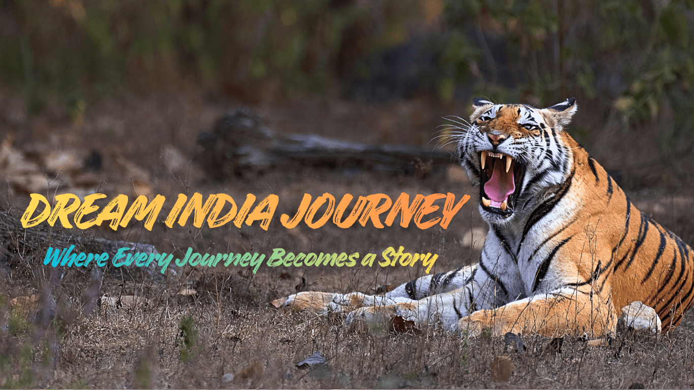 Dream India Journey