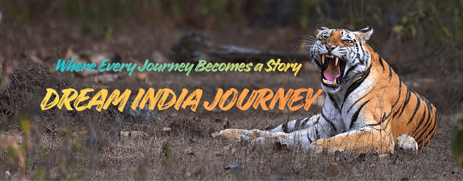 Explore India with Dream India Journey