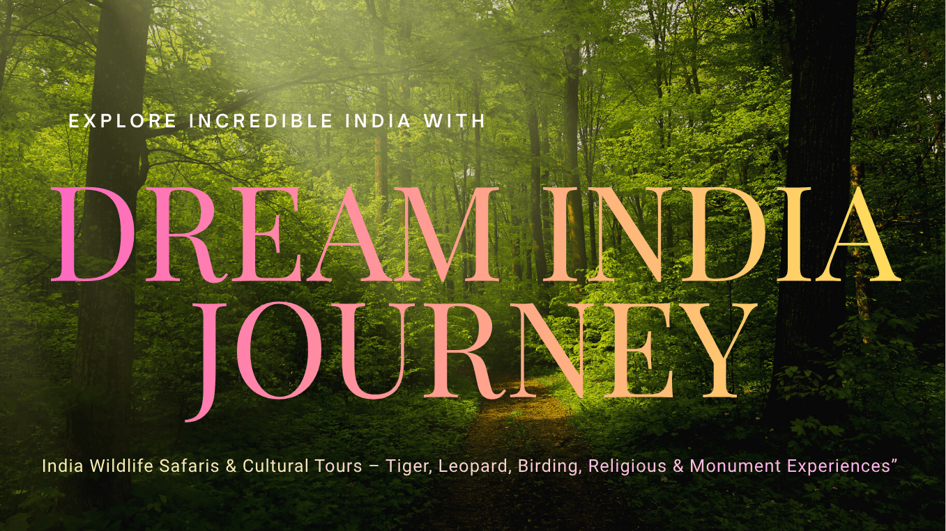 Nature YouTube Banner in White Minimalist Photo Style